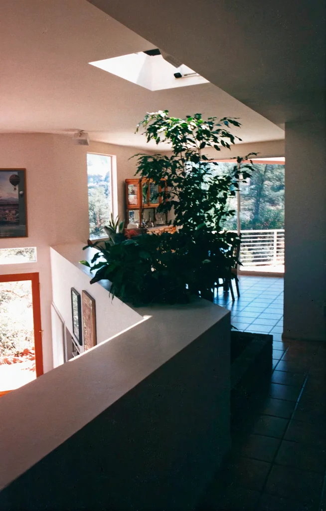 Light-filled upper-level corridor with skylight and abundant plants along a half wall, opening to a dining area with large windows to the trees outside.